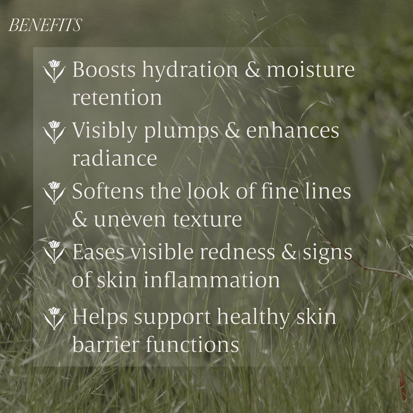 Verli Hydrating Face Serum with Snow Mushroom & Beta-Glucan | Moisturizing Botanical Skincare for Skin Barrier Repair & Plumping | Clean Daily Face Serum | Hyaluronic Acid Alternative, 1.69 fl oz