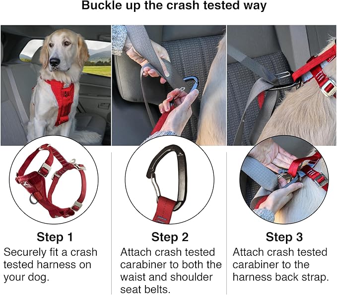 Kurgo Enhanced Strength Tru-Fit Dog Car Harness - Pet Travel Safety Harness - Crash Test Certified Fit - Five Point Adjustment - Secure Buckle - Padded Chest - Black - Small