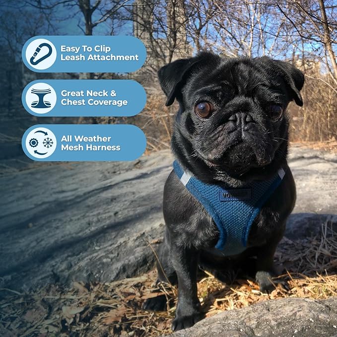 Voyager Step-in Air All Weather Mesh Harness and Reflective Dog 5 ft Leash Combo with Neoprene Handle, for Small, Medium and Large Breed Puppies by Best Pet Supplies - Set (Blue), XS