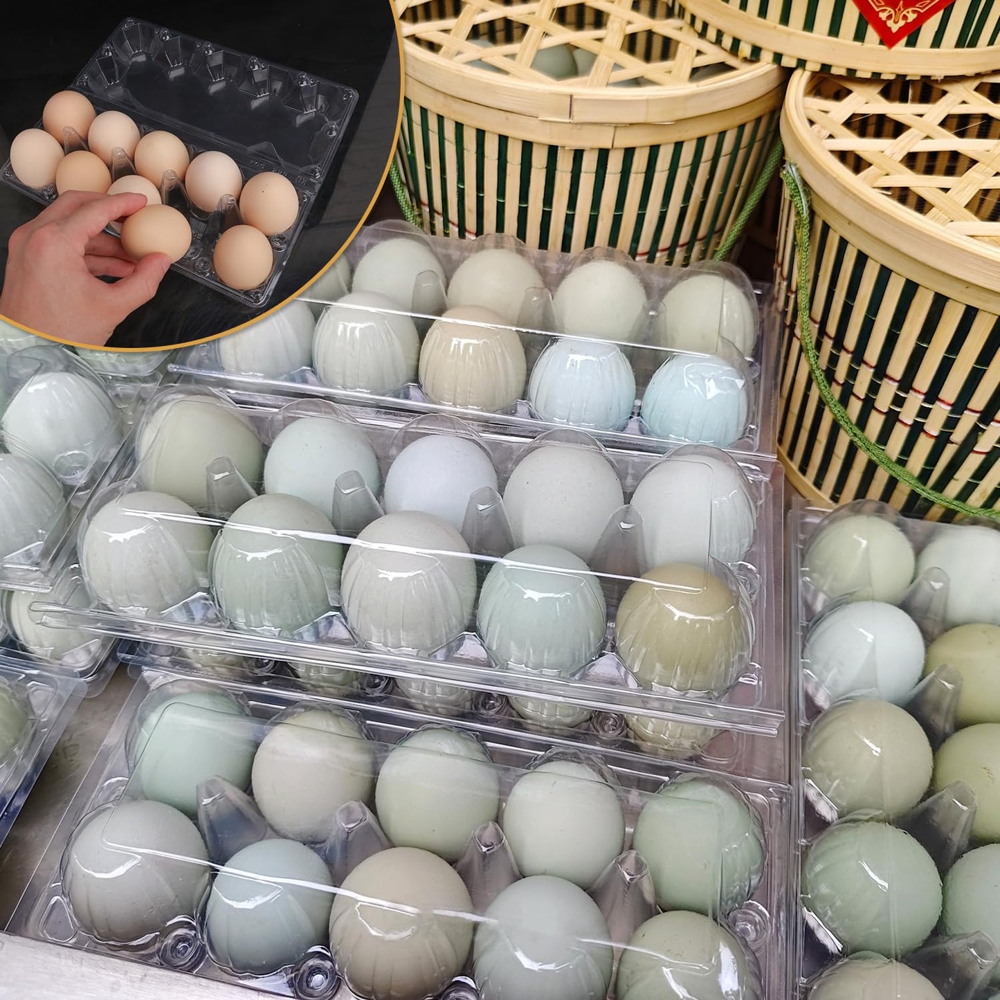 KUKLIPJIM 80 Pack Bulk Egg Cartons, Clear Plastic Chicken Egg Holders, Egg Tray Carton Holder for Home & Kitchen, Farm & Market Use, An Eco-Friendly Egg Storage Solution, 10 Grids(Medium Size)