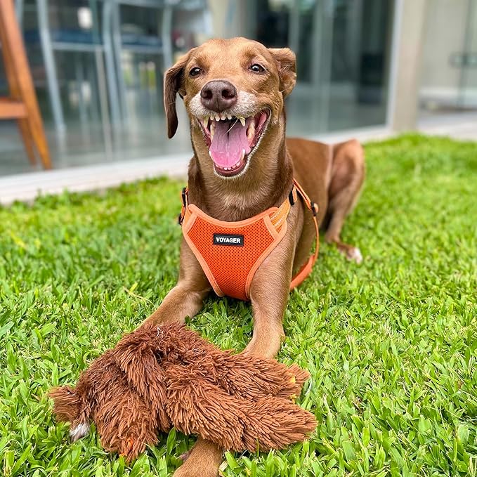 Best Pet Supplies Voyager Mesh Dog Breathable Harness Reflective Stitching, All Weather Adjustable for Walking Training, or Running - Heavy Duty & Durable, Harness (Orange), M