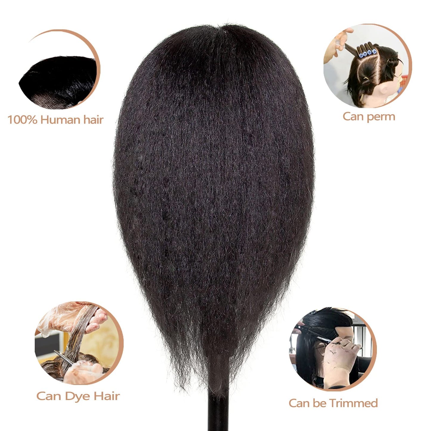 Mannequins Head 16" 100% Real Human Hair Braiding Styling Head With Stand
