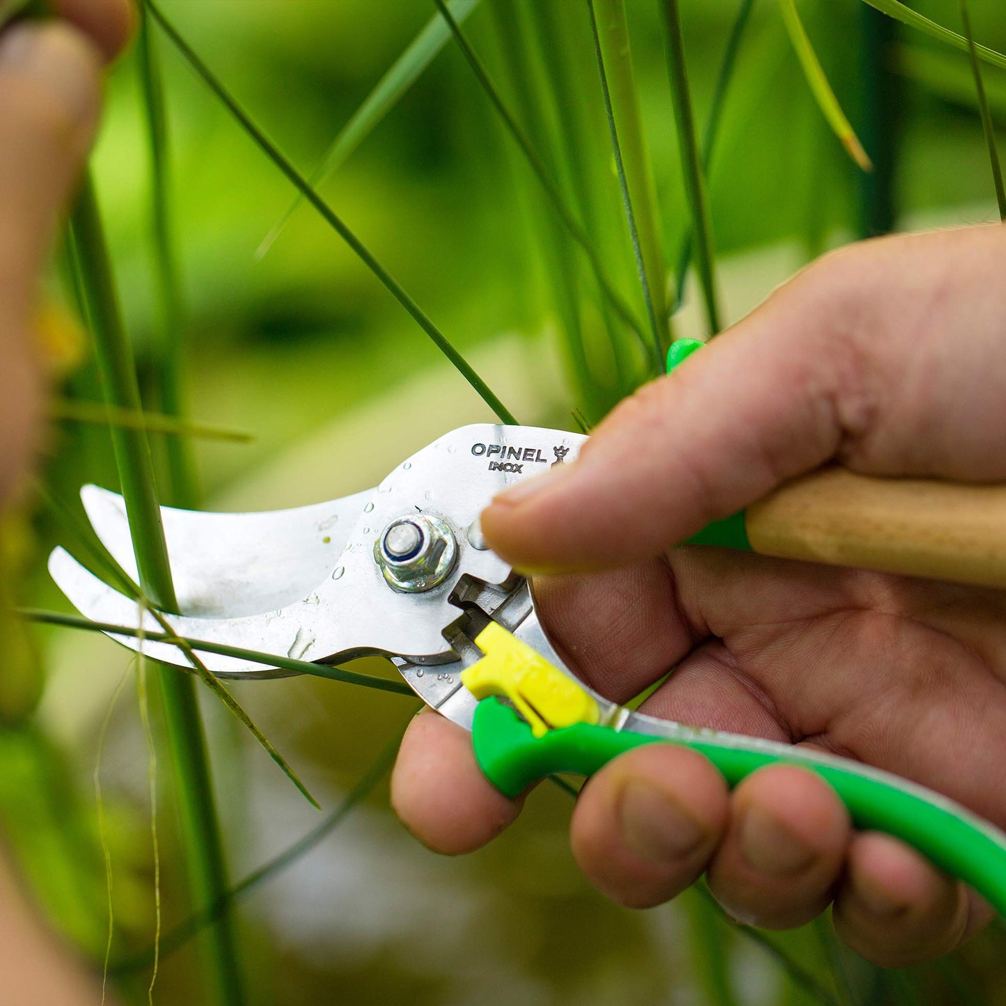 Opinel Hand Pruning Shears with non-slip beech wood handle perfect for bypass trimmers, garden, hedge, lawn clippers or hand scissors with stainless steel blade (Green)