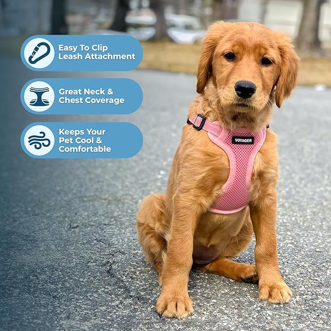 Best Pet Supplies Voyager Mesh Dog Breathable Harness Reflective Stitching, All Weather Adjustable for Walking Training, or Running - Heavy Duty & Durable, Harness Leash Set (Pink), XS