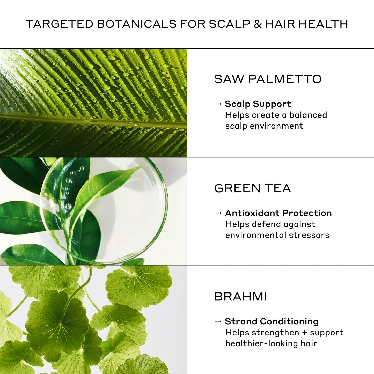 ZENAGEN Revolve Men's Thickening Shampoo | Supports Appearance of Fuller, Healthier-Looking Hair, Developed for Fine & Visibly Thinning Hair, Plant-Based, 5-Minute Treatment, 200 mL / 6.75 oz
