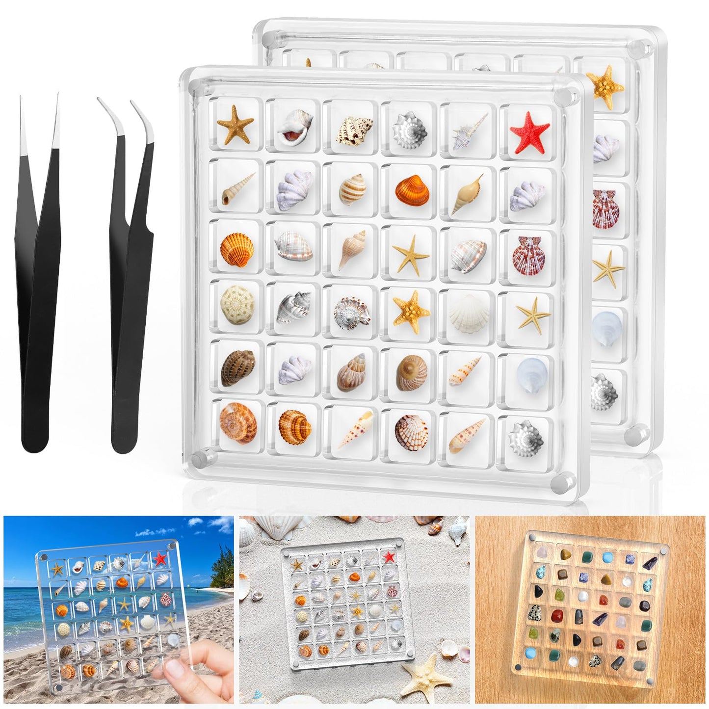 XANGNIER Acrylic Magnetic Seashell Display Box,Clear Sea Shell Display Box,Beach Magnet Storage Organizer Case for Seashell Diamond Beads,72 Grids,Transparent,2 Pack