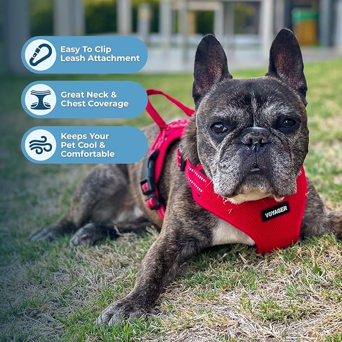 Best Pet Supplies Voyager Mesh Dog Breathable Harness Reflective Stitching, All Weather Adjustable for Walking Training, or Running - Heavy Duty & Durable, Harness Leash Set (Red), M