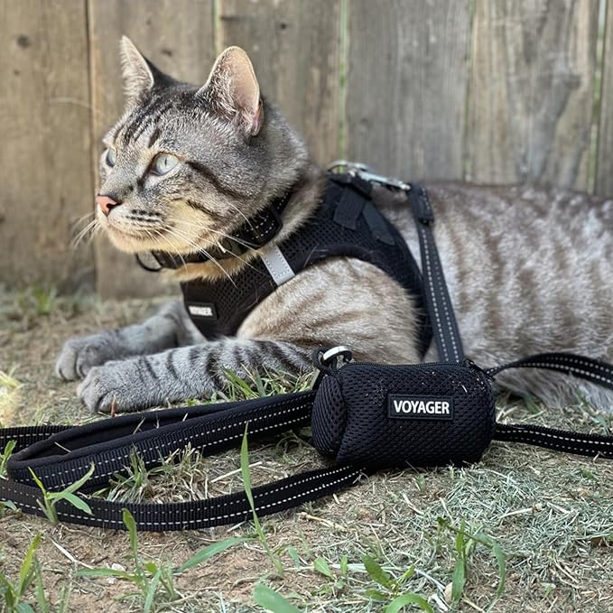 Voyager Step-in Air All Weather Mesh Harness and Reflective Dog 5 ft Leash Combo with Neoprene Handle, for Small, Medium and Large Breed Puppies by Best Pet Supplies - Set (Black), L