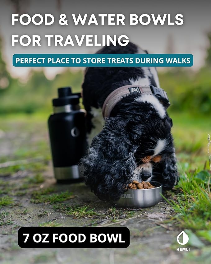 32 oz. Portable Dog Water Bottle and Bowl, Perfect for Walking, Hiking and Travel