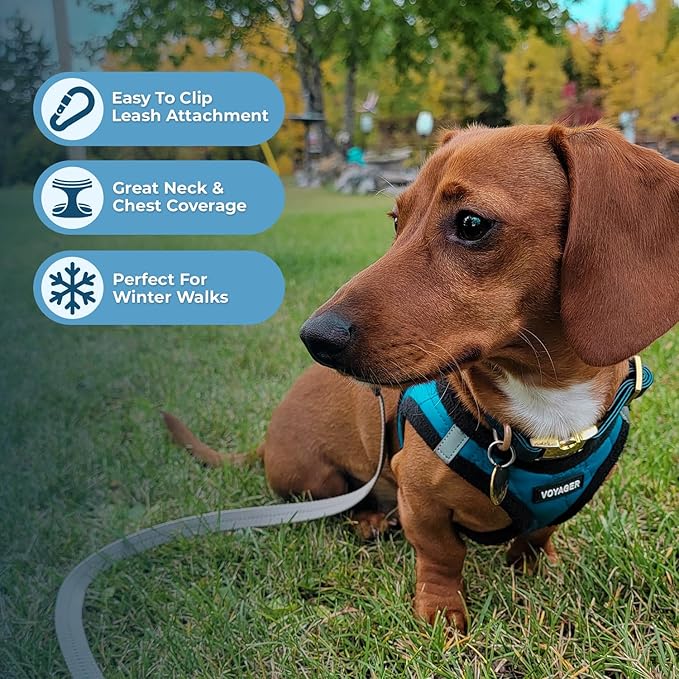 Best Pet Supplies - All Weather Mesh/Plush, Reflective, No Pull Harness for Small, Medium Dogs, Cats - Secure with Hook & Loop Fastener, Buckle, Double D-Rings - Turquoise Plush, L