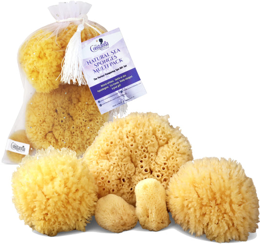 Real Natural Sea Sponges Multipack - 5pc Spa Gift Set in Premium Bag, Kind on Skin, for Bath Shower Facial Cleansing, Pamper Moms Brides Girlfriends & Teens (5 Pack Standard Packaging)