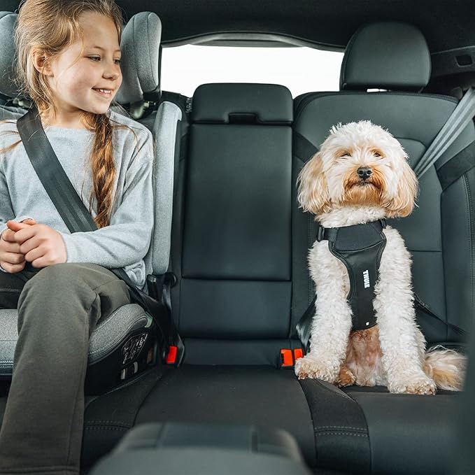 Thule Cappy Dog Harness L - Crash-Tested for Safety - Seatbelt passthrough - Adjustable & Easy to Clean - Padded Breathable mesh Panels - Leash Loop - Step-in Design