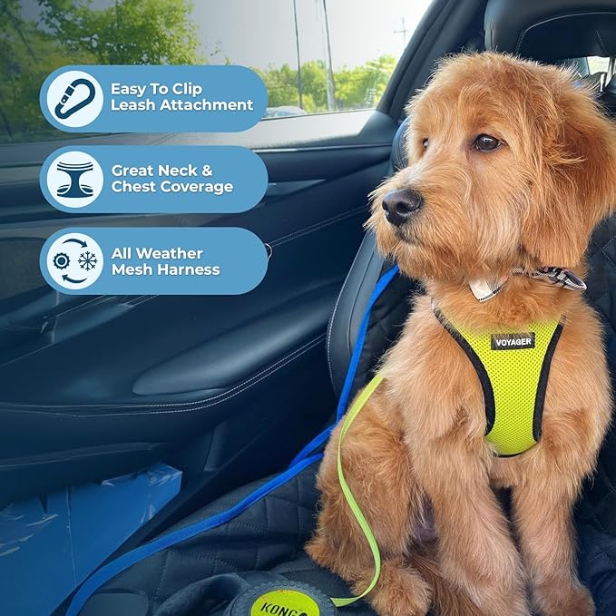 Voyager Step-in Air All Weather Mesh Harness and Reflective Dog 5 ft Leash Combo with Neoprene Handle, for Small, Medium and Large Breed Puppies by Best Pet Supplies - Lime/Black Trim, Medium