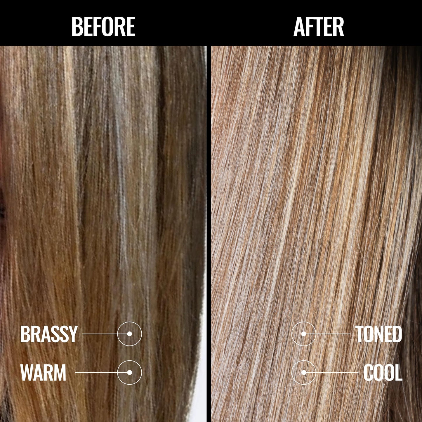 Pravana The Perfect Blonde Seal & Protect Leave-In Conditioner | Neutralizes Brassy, Yellow Tones | For Color-Treated Hair | Detangles, Protects, Moisturizes Strands | 10.1 Fl Oz
